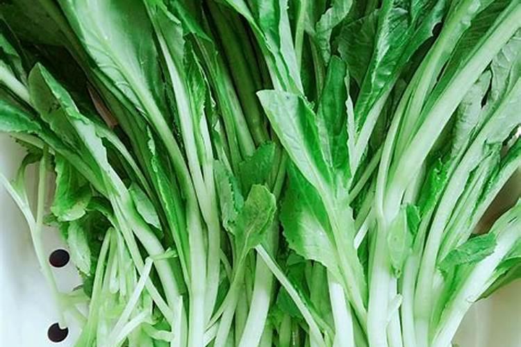 种青菜如何正确施肥