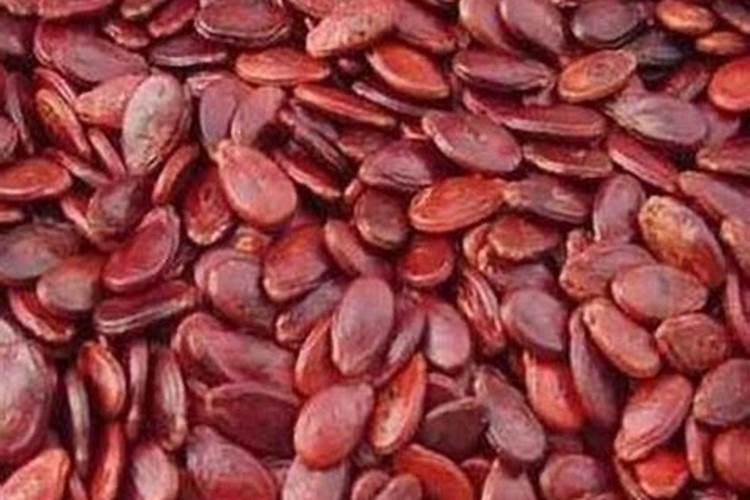 什么是氮磷钾肥 自制氮磷钾肥