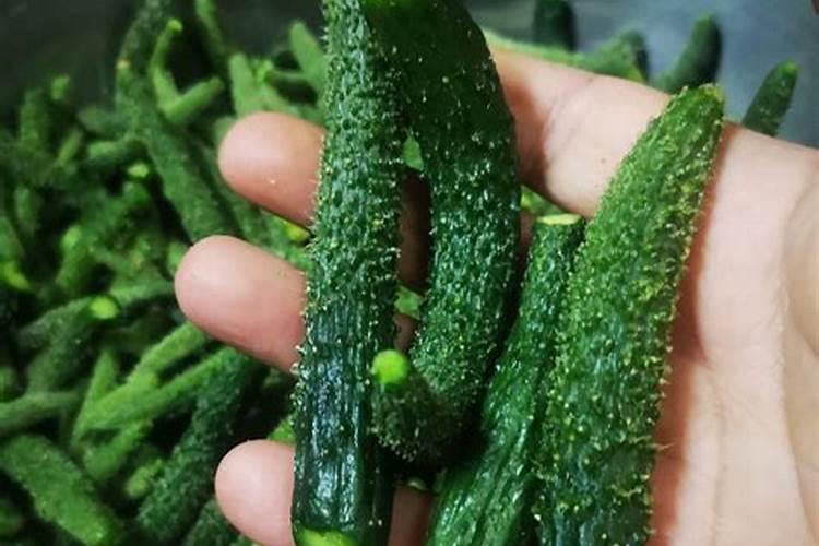 黄瓜秧头扣着不长怎么办