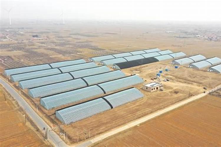 领克复合型水溶肥料是哪个厂家生产的？