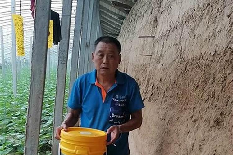 千彩青大量元水溶肥云南那有销售