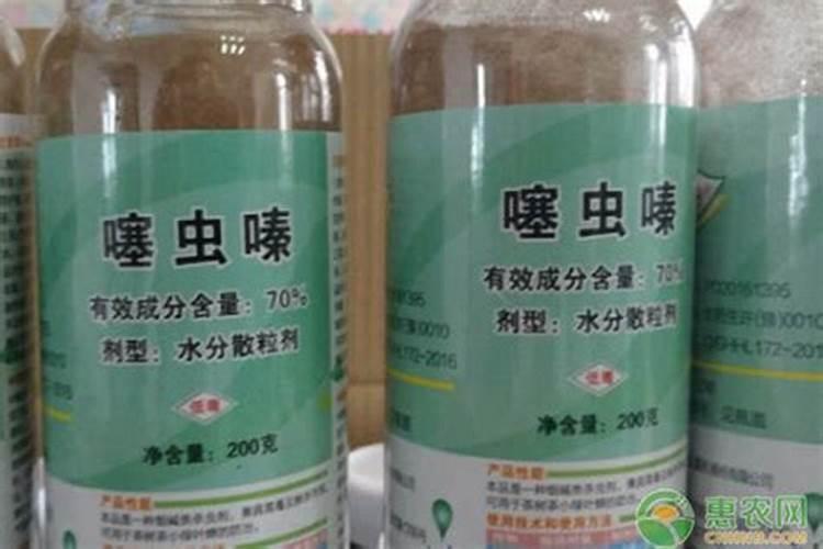 红薯如何种植才能获得高产？