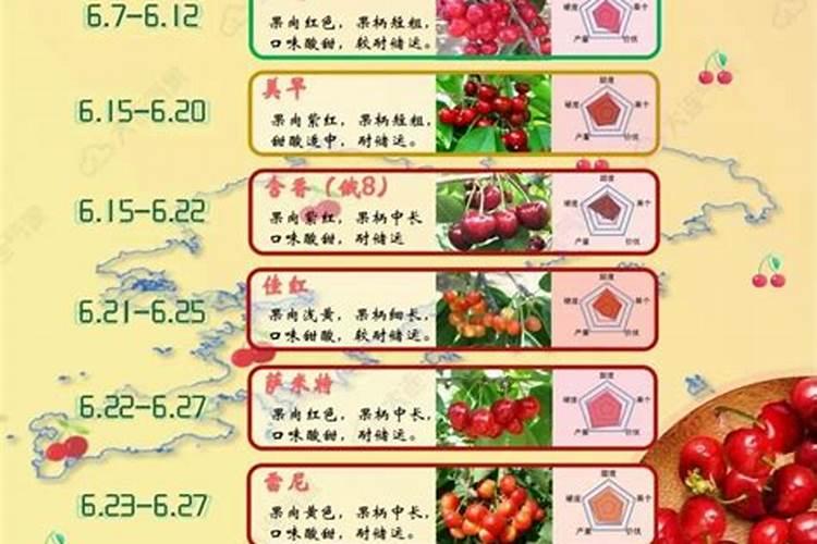 黄瓜什么时候追肥合适 高产追肥方法