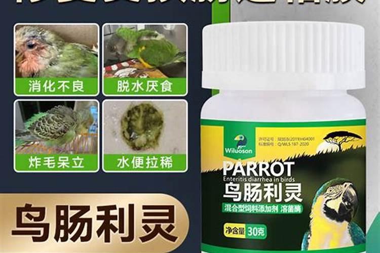 两只两三个月大的玄凤吃一片土霉素过量么？