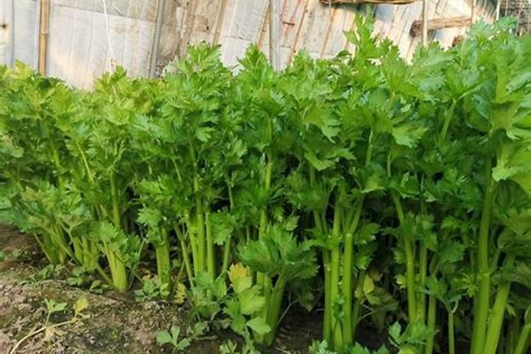 土肥水种密保管工的工作内容