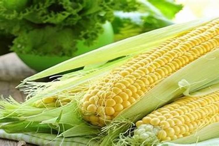 玉米后期需要什么肥料