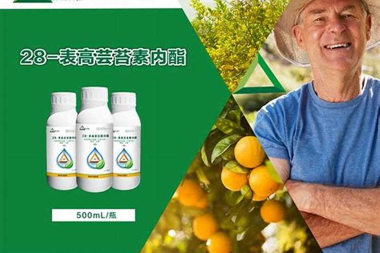 为什么血橙树开花结果后没多长时间全部都掉果了？