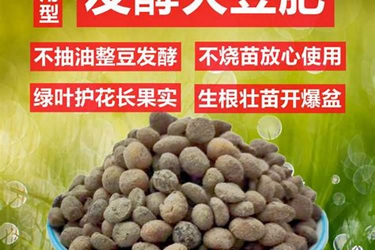 大豆施肥最佳方法
