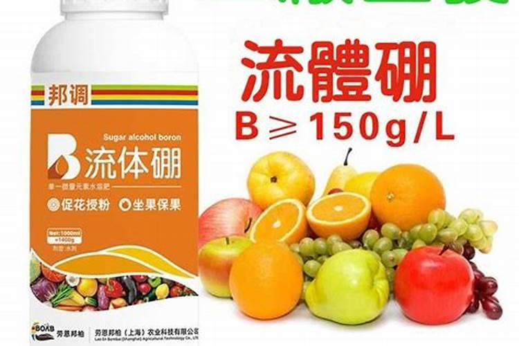 苦瓜开花期的管理