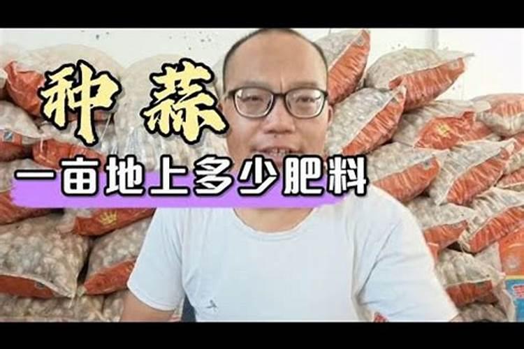 大蒜底肥最佳配方