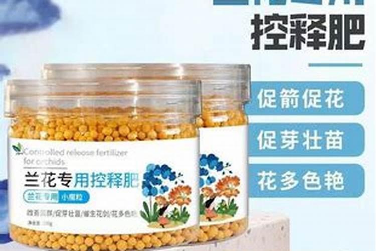 新手养护兰花都有哪些禁忌？