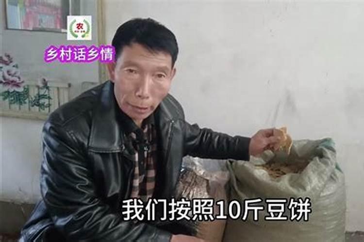 豆渣与豆饼沤肥有什么不同