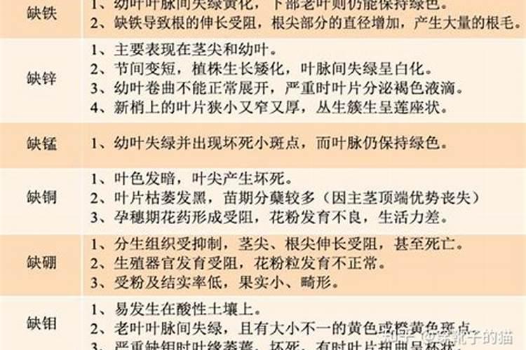 肥料mg代表什么