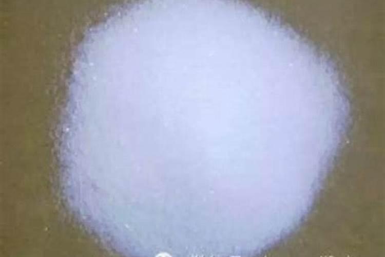 甲壳素水溶肥的功效与作用