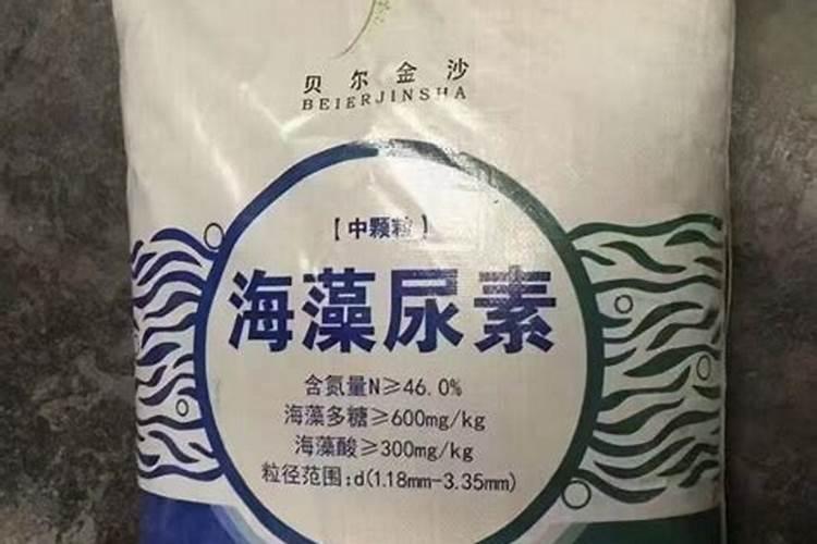 百合叶子长到顶还会长吗