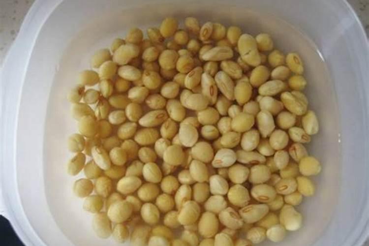 黄豆水是氮肥还是磷肥