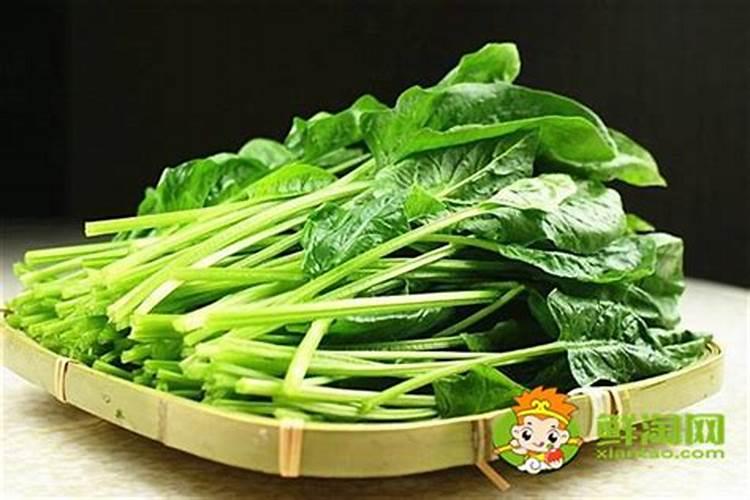 菠菜抽薹是咋回事
