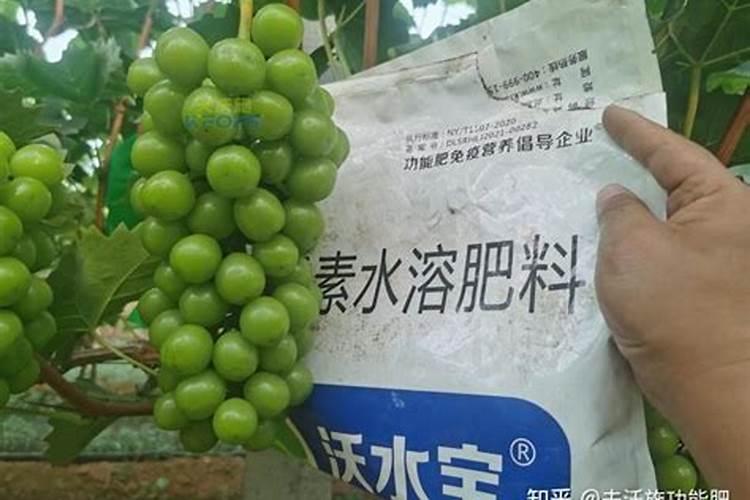 怎么选择一款好的水溶肥
