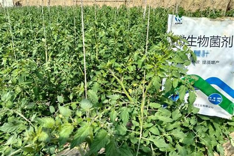 俄罗斯十大化肥品牌、化肥销量排行榜前十名