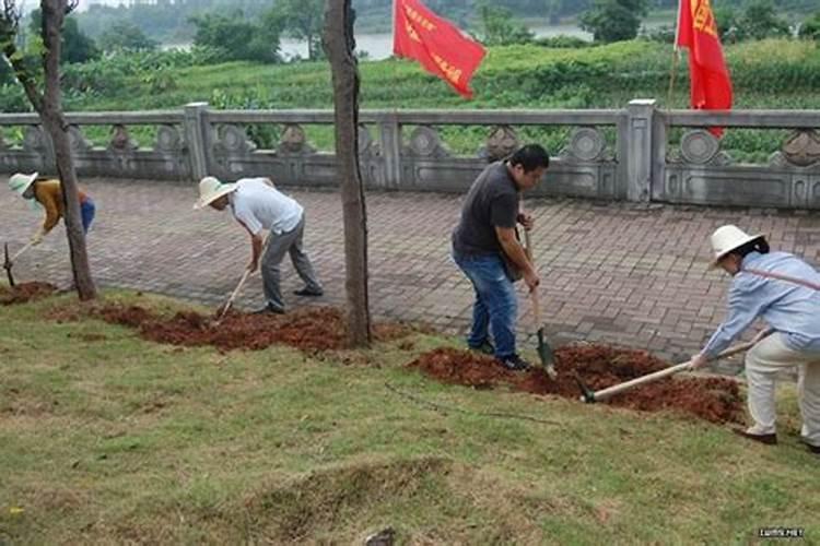 园林绿化养护管理的环节与养护措施