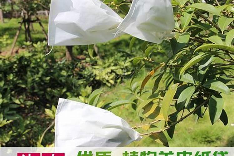 促进植物开花结果的肥料