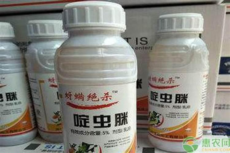 脐橙4月管理要点