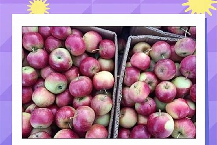 请问:龙凤果有什么好处？