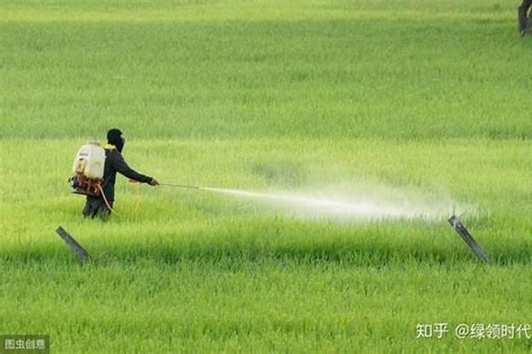 叶面肥和农药可以混在一起使用吗 常用叶面肥与农药混用先后顺序百度...