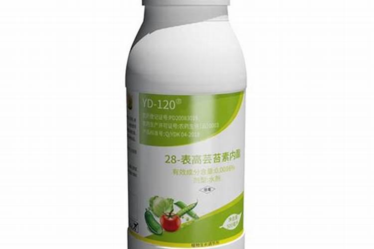 铁皮石斛用什么肥料好 怎么施肥