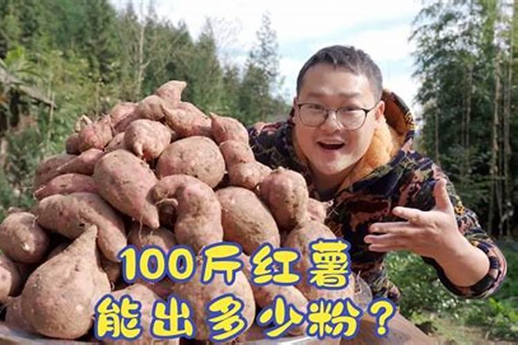 红薯怎么施肥能达到高产(种植扦插红薯高产追肥技术)