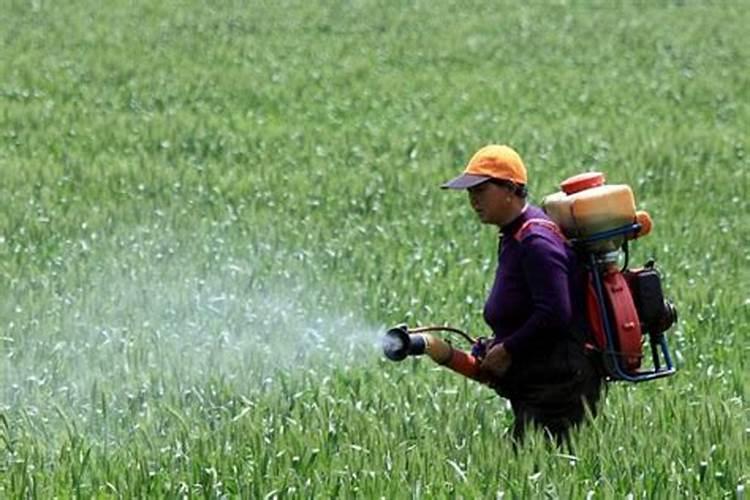 水溶锌肥多少钱一斤