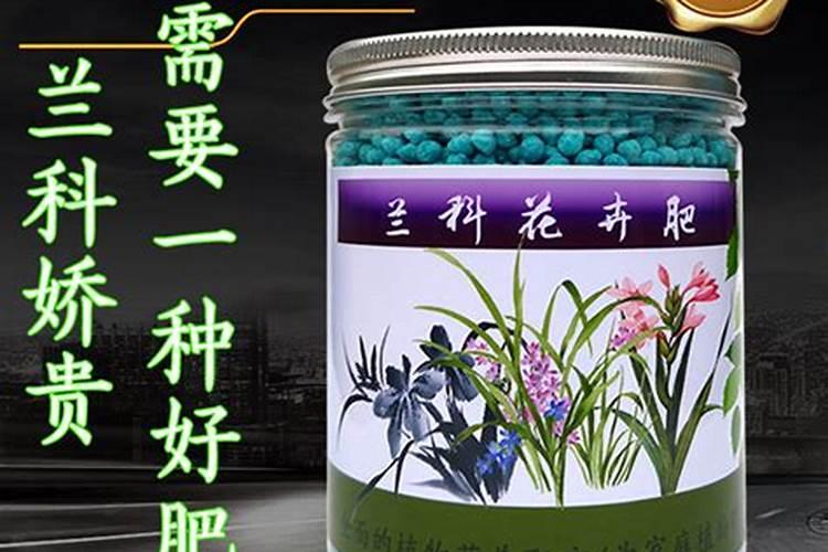 兰花冬天施什么肥最好