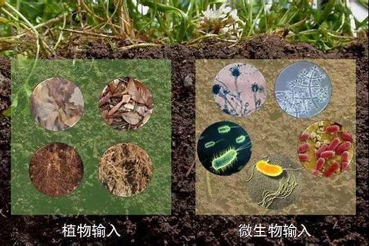 什么是有机肥料