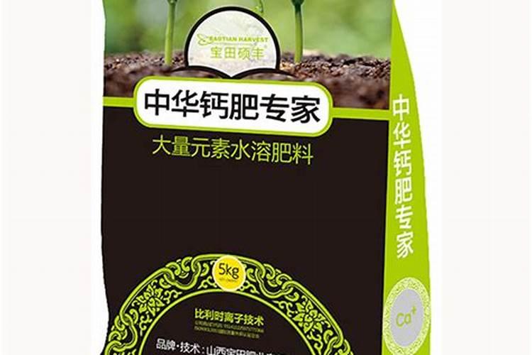 植物如何根部补钙