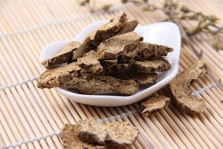 白术根部病害的种类 如何防治