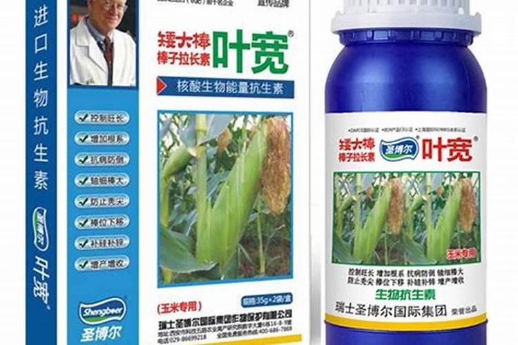 玛菲叶面肥增产效果好不好？