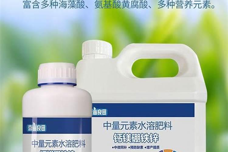 黄瓜秧头扣着不长怎么办