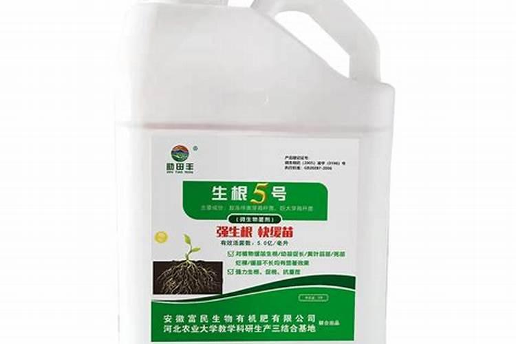 盆栽散尾葵能使用黄腐酸钾吗？