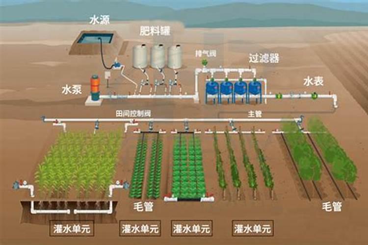 土豆高产种植技术 土豆应该怎么养殖