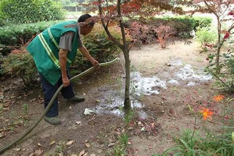 下雨可以给草坪施肥吗