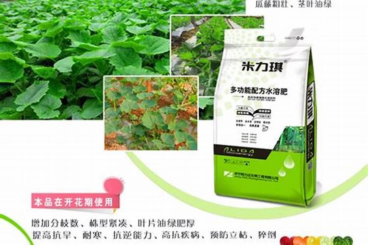 黄瓜用什么肥料产量高