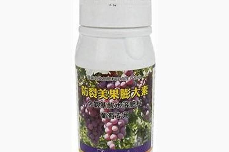 葡萄现在刚萌芽用什么药,怎么管理？