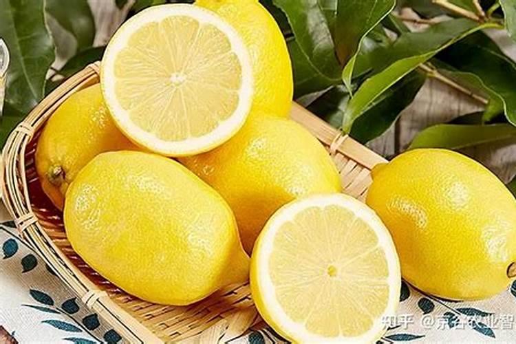 香水柠檬不开花是怎么回事？