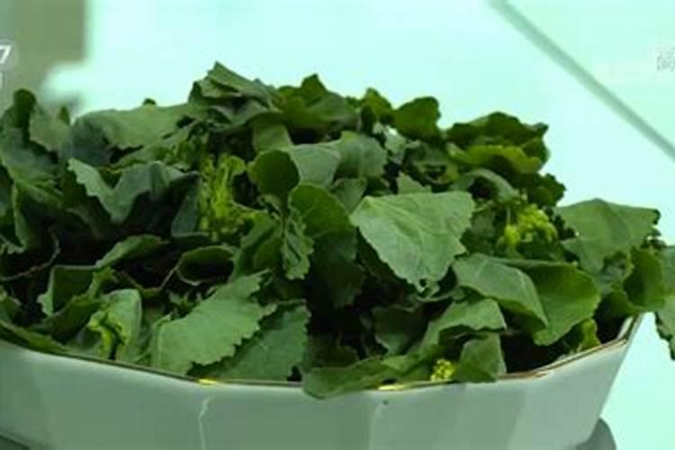 香蕉是花草的好肥料吗
