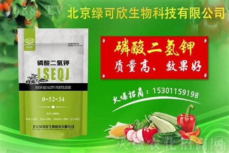 多肽尿素到底好不好