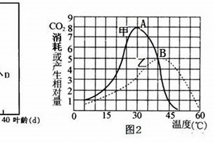 马铃薯前期施氮肥过多会有什么危害