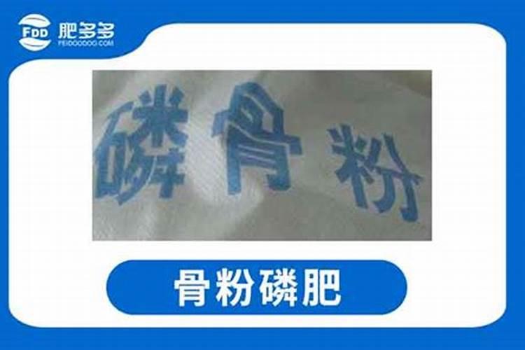 春小麦种子那个好？