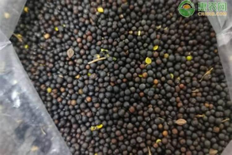 菜籽一亩地如何施肥最好