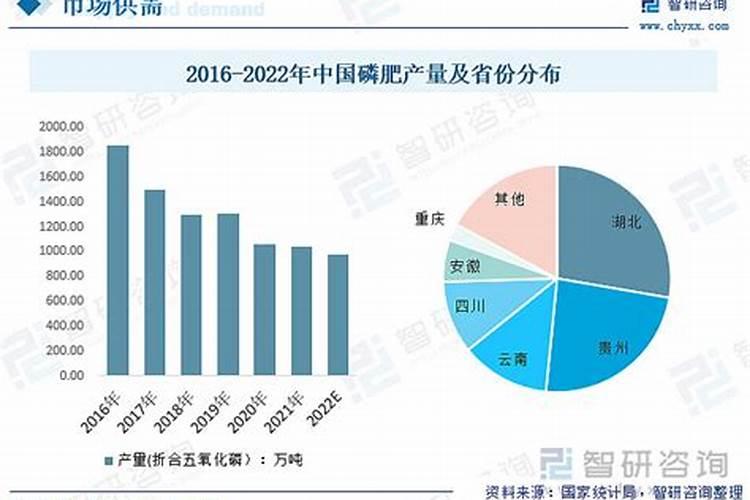 摩根勒菲:最后的阿瓦隆女王