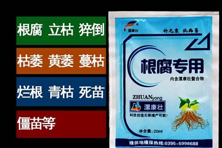 马尼拉草皮施什么肥生长快
